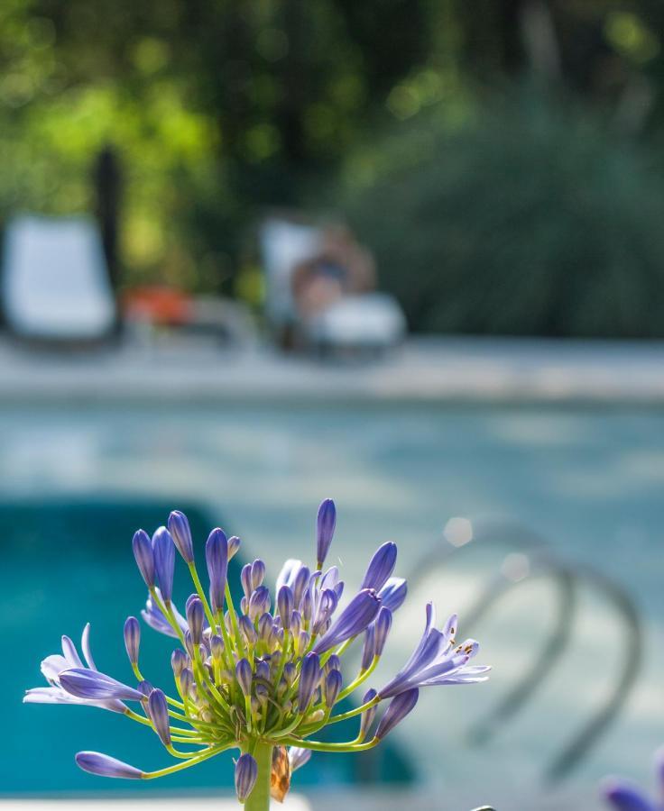 Atelier Hotel De Charme Villa General Belgrano Exterior photo